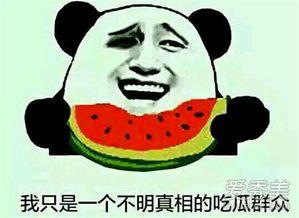 娱乐吃瓜群众在线播放,在线播放带你领略娱乐圈风云变幻
