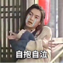 吃瓜进了娱乐圈,意外踏入娱乐圈的奇幻之旅