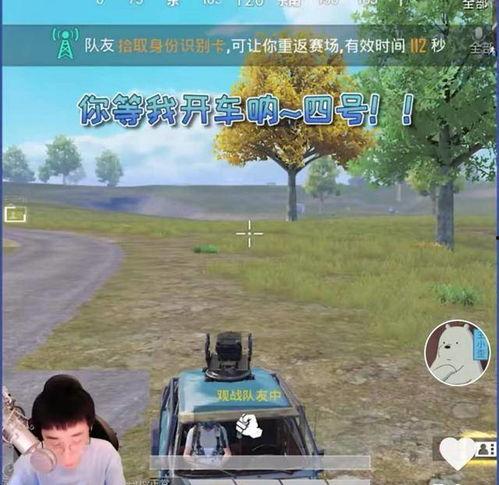 娱乐718吃瓜王大炮,吃瓜王大炮背后的故事