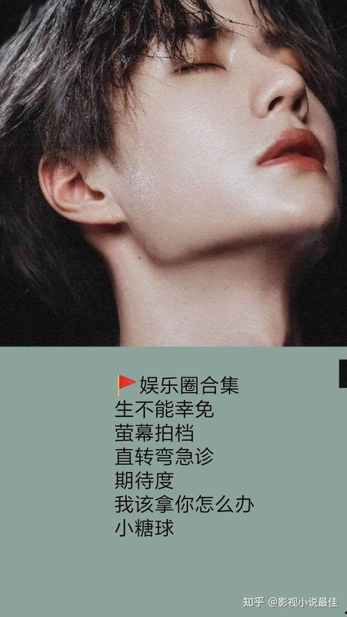 吃瓜娱乐圈小说推文,娱乐圈幕后风云录