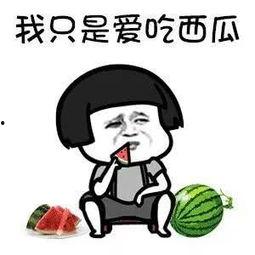 娱乐圈吃瓜爆料吃瓜,揭秘明星背后的秘密与八卦