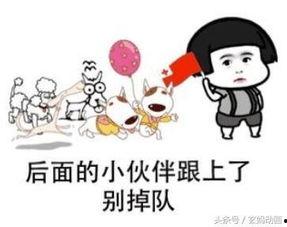 娱乐吃瓜老王,揭秘娱乐圈幕后故事